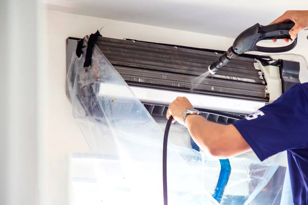 Air Duct Mold Removal in CO