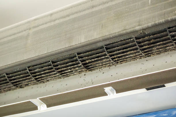 Best HVAC Duct Inspection Services  in Stratmoor, CO